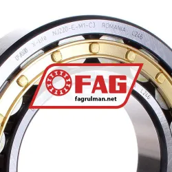 FAG NJ220-E-M1-C3 rulman resim 2