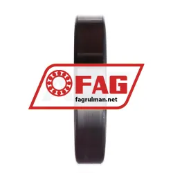 FAG NJ220-E-M1-C3 rulman resim 4