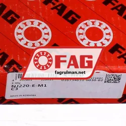FAG NJ220-E-M1-C3 rulman resim 6