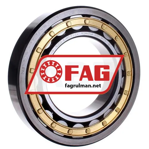 FAG NJ220-E-M1-F1-C4