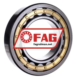 FAG NJ220-E-M1-F1-C4