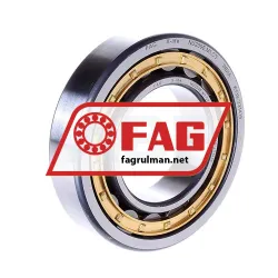FAG NU209E-M1-C3