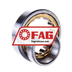 FAG NU209E-M1-C3 rulman resim 2