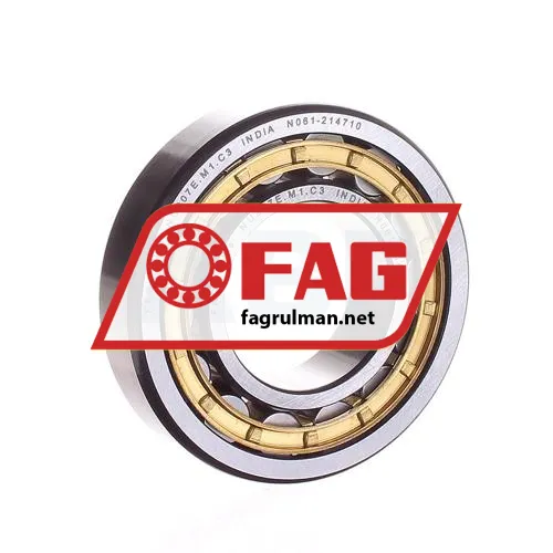 FAG NU207E-M1-C3