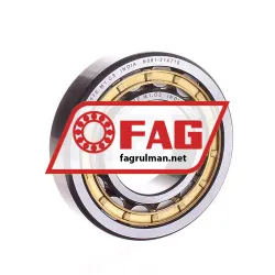 FAG NU207E-M1-C3