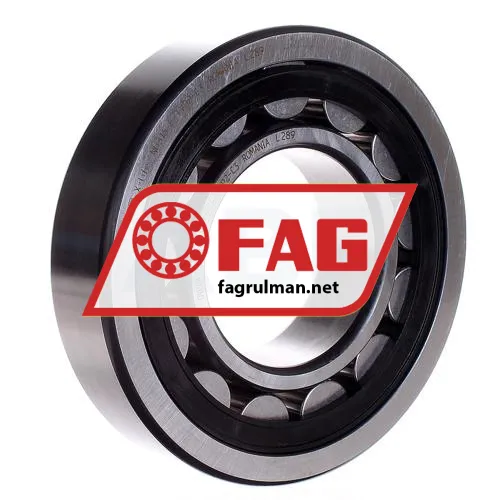 FAG NU316E-TVP2-C3
