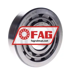 FAG NJ411-C3