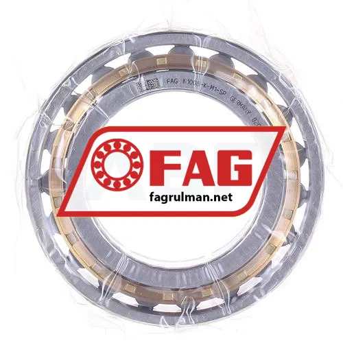 FAG N1008-K-M1-SP
