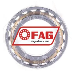 FAG N1008-K-M1-SP