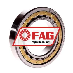 FAG NU215-E-M1-P6-F1-C4