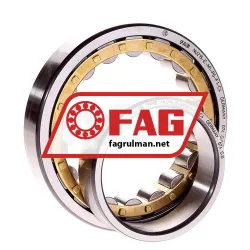 FAG NU215-E-M1-P6-F1-C4 rulman resim 2