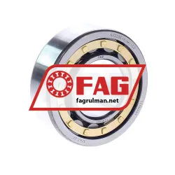 FAG NU2206-E-M1-C3