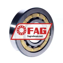 FAG NJ413M1