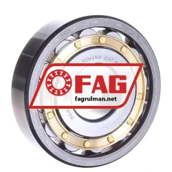 FAG N407-M1