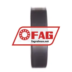 FAG N407-M1 rulman resim 2