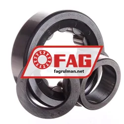 FAG NUP305 rulman resim 2