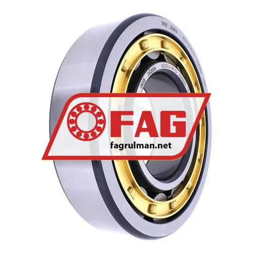 FAG NJ313-E-M1-C4
