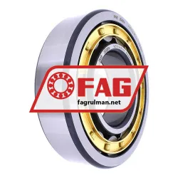 FAG NJ313-E-M1-C4