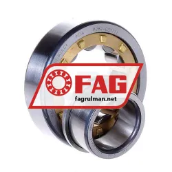 FAG NJ305-E-M1A-C4 rulman resim 2