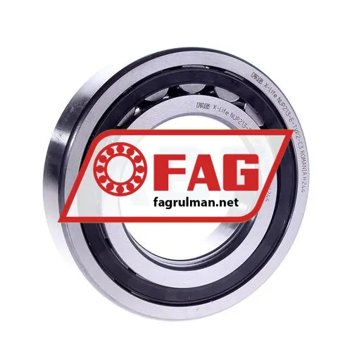 FAG NUP213-E-TVP2-C3