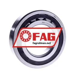 FAG NUP213-E-TVP2-C3