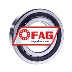 FAG NUP213-E-TVP2-C3 rulman resim 2