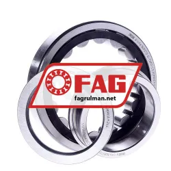 FAG NUP213-E-TVP2-C3 rulman resim 3