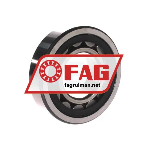 FAG NU310E-TVP2-C4 ürün fotoğrafı 2