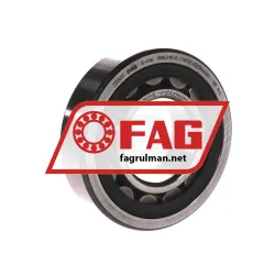 FAG NU310E-TVP2-C4