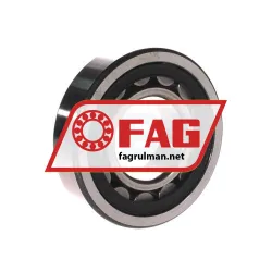 FAG NU310E-TVP2-C4 rulman resim 2
