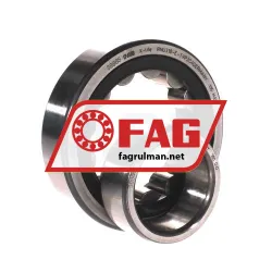FAG NU310E-TVP2-C4 rulman resim 3