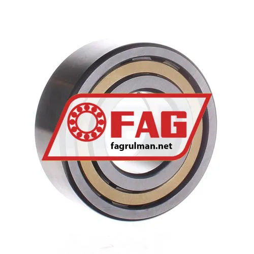 FAG NUP2310-E-M1-C3 ürün fotoğrafı 3