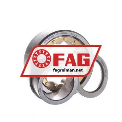 FAG NUP2310-E-M1-C3