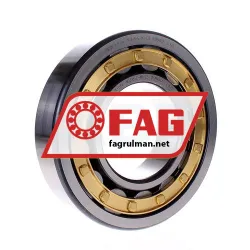 FAG NJ318-E-M1-C3