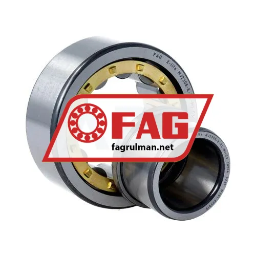 FAG NJ2306-E-M1-C3