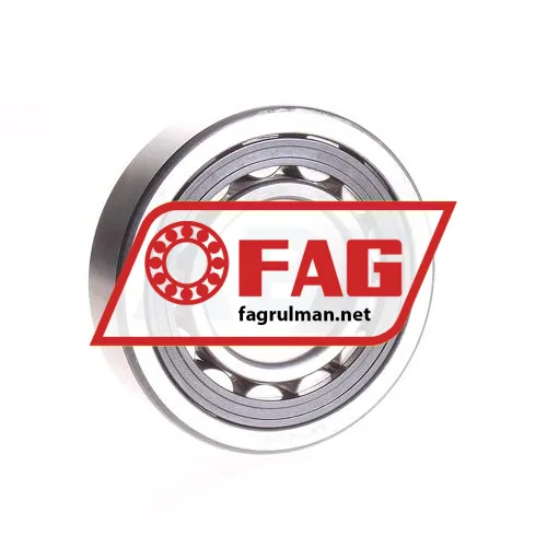 FAG NU311-E-TVP2