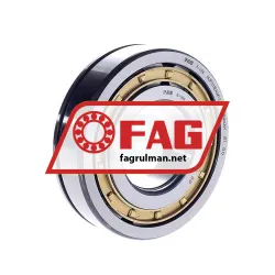 FAG NUP311EN-M1-C3