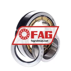 FAG NUP311EN-M1-C3 rulman resim 2