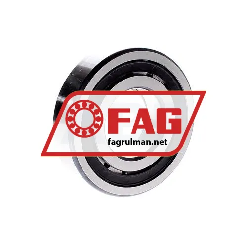 FAG NUP310E-TVP2 ürün fotoğrafı 3