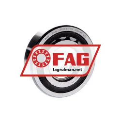 FAG NUP310E-TVP2