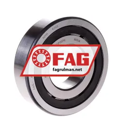 FAG NUP307E-TVP2