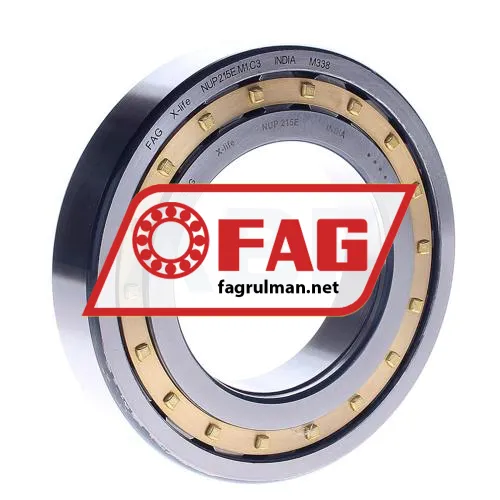 FAG NUP215E-M1-C3