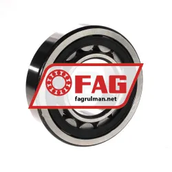 FAG NU313E-TVP2 rulman resim 2