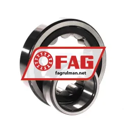FAG NU313E-TVP2 rulman resim 3