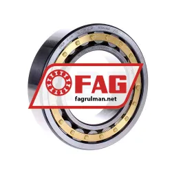 FAG NU2215E-M1