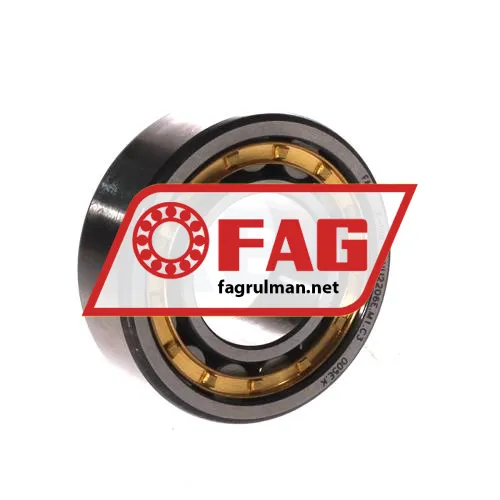 FAG NU2206E-M1-C3