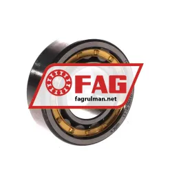 FAG NU2206E-M1-C3