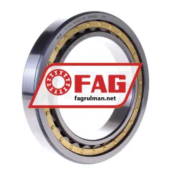 FAG NU1024M1
