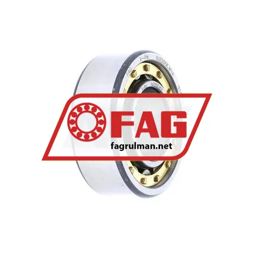 FAG NJ2205E-M1A