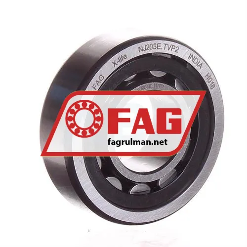 FAG NJ203E-TVP2